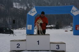 Lenk 2012 SM